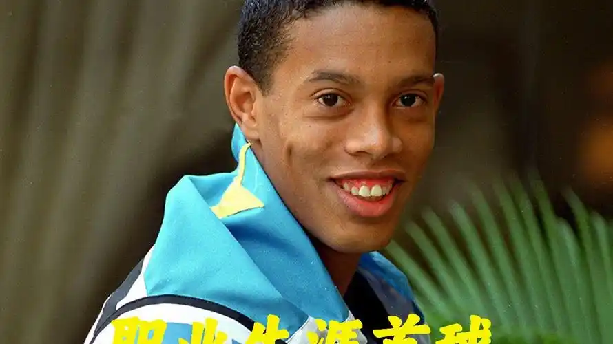 快速了解主